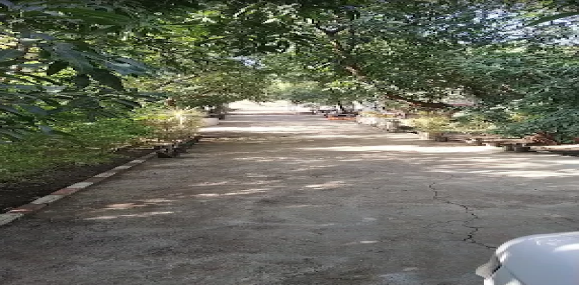 Gir Garjna The Cottage